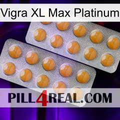 Vigra Xl Max Platinum levitra2